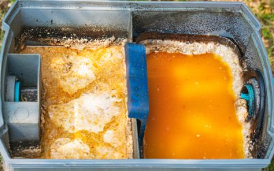 The Importance of Regular Grease Trap Pumping for Your Business