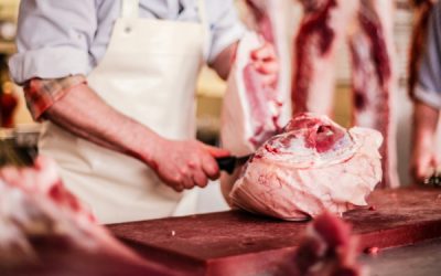 Turning Waste into Resources: The Impact of Meat Waste Recycling