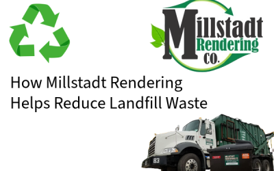 How Millstadt Rendering Helps Reduce Landfill Waste