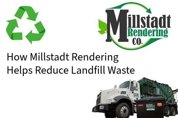 rendering recycling STL