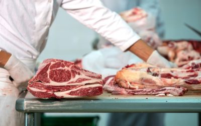 Safe & Compliant Meat Waste Disposal: Best Practices for Butchers and Processors