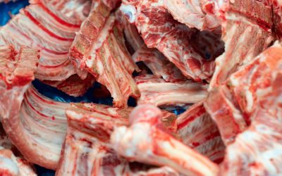 How Meat By-Product Recycling Supports the Agricultural Industry